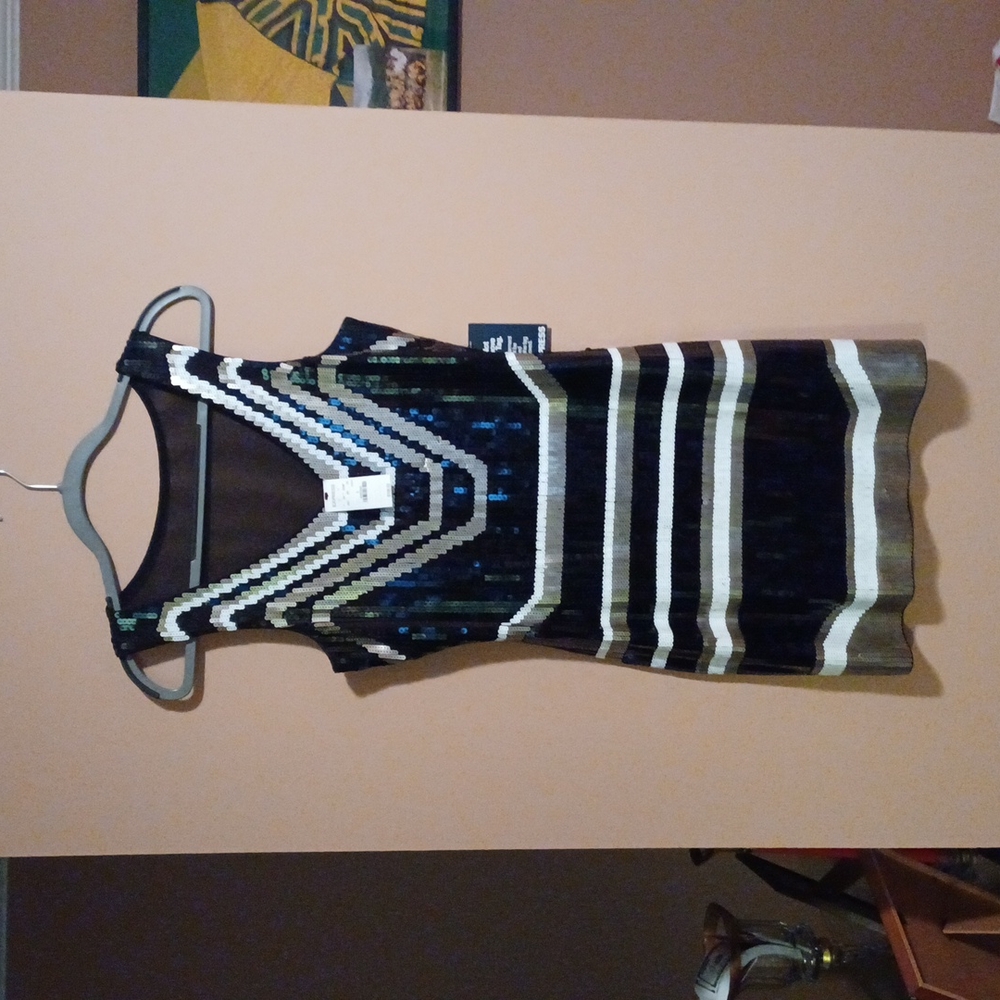 Sequined Express Dress